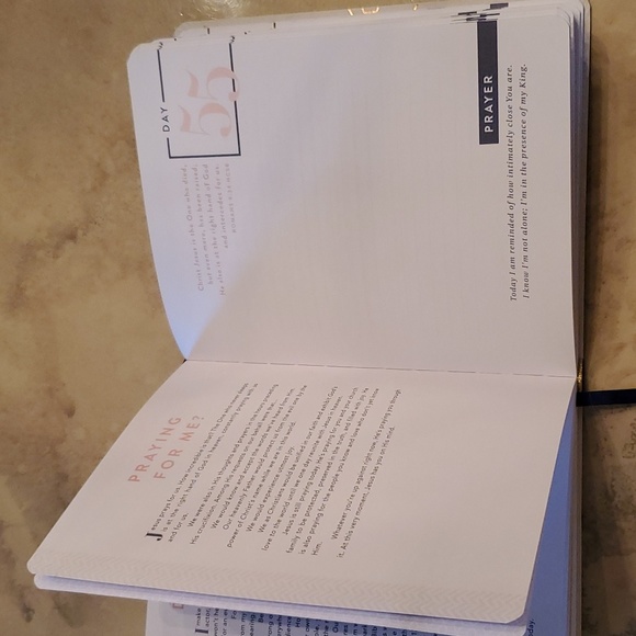 100 Days of Joy & Strength Devotional Journal - Picture 2 of 3